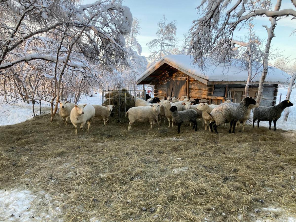Kuttainen Lodge Karesuando 外观 照片